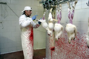 slaughterhousecaft1.jpg